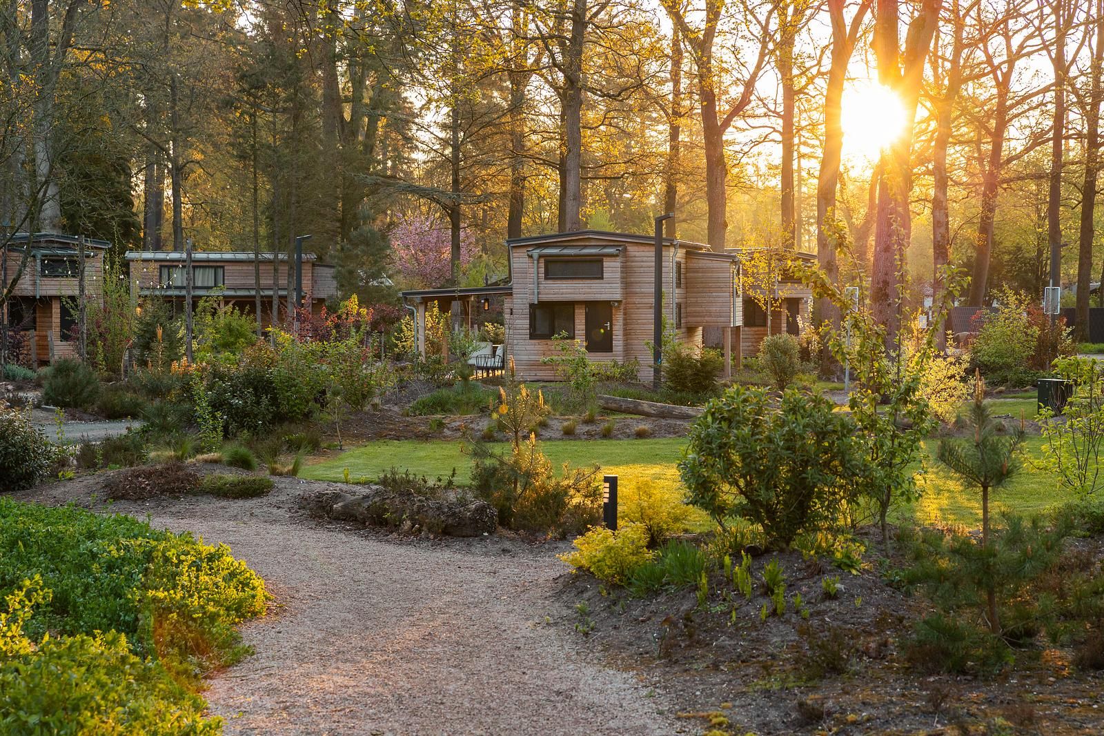 EuroParcs Utrechtse Heuvelrug: vakantiepark met hond in de bossen